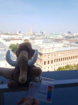 Moothel in front of a great view over vienna.