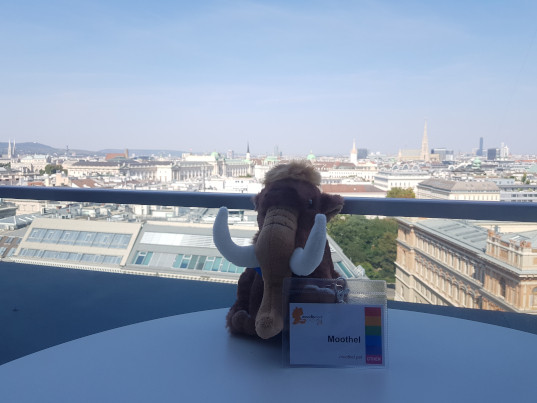 Moothel in front of a great view over vienna.